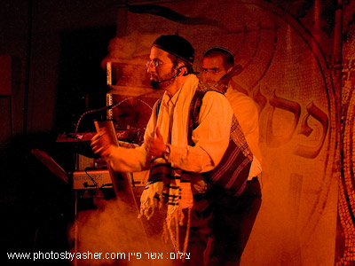 צילום: אשר פיין www.photosbyasher.com